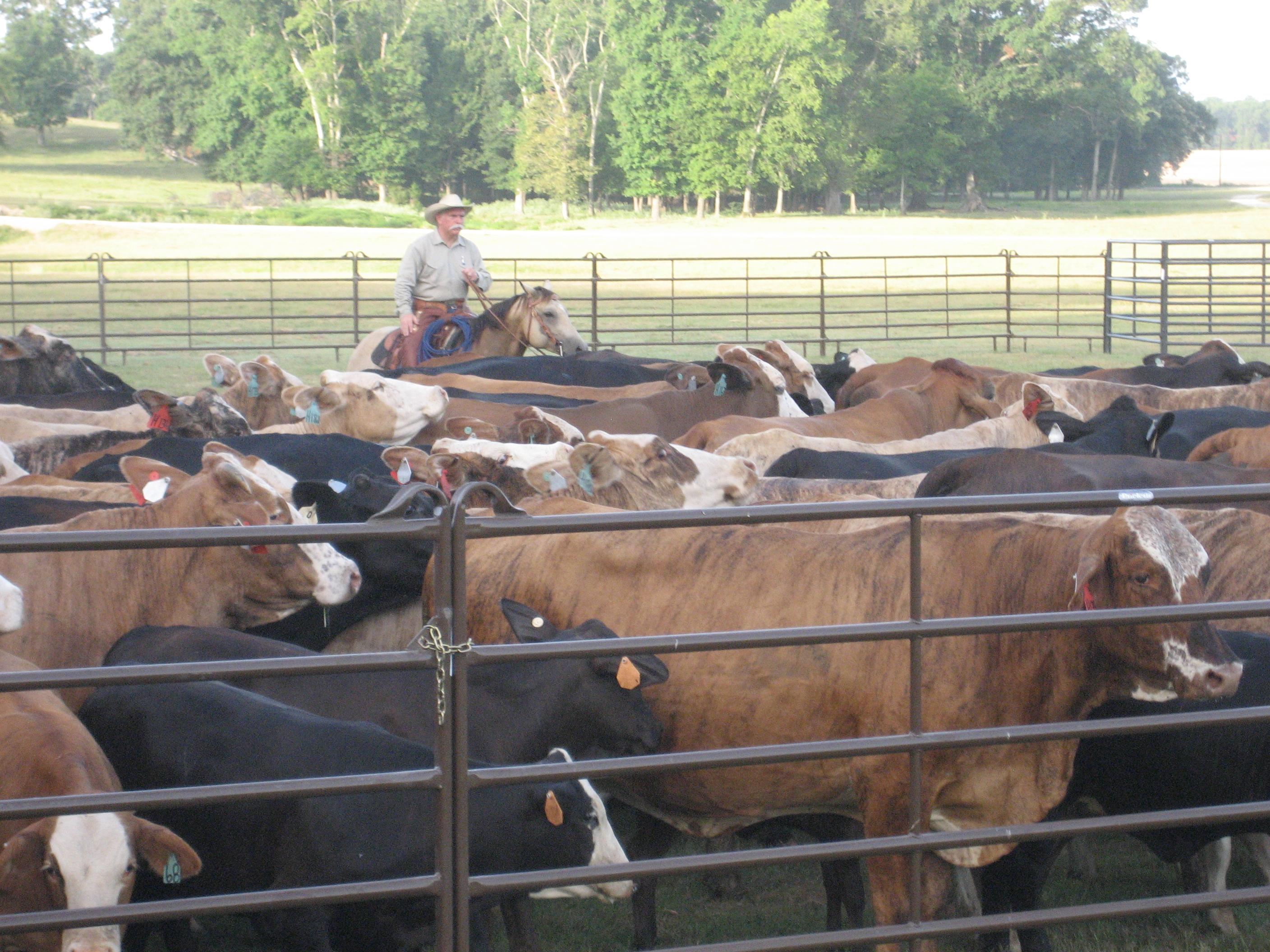 Utility Panel UP12 02.jpg